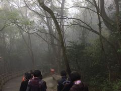 -普陀山风景区-佛顶山
