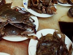 android_upload_pic-春华海鲜城(广场西苑店)