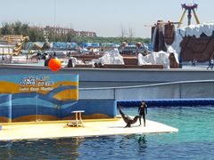 -秦皇岛乐岛海洋王国