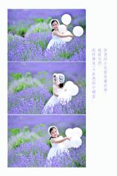 -蜜糖派儿童摄影(青建·太阳岛店)
