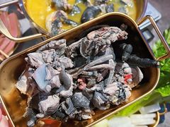 -Darling Queen·Mini·Live·House