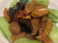 红烧鹿筋-弘雅饭店