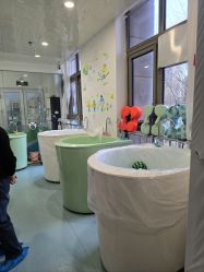 -马博士婴儿游泳馆(望京旗舰店)