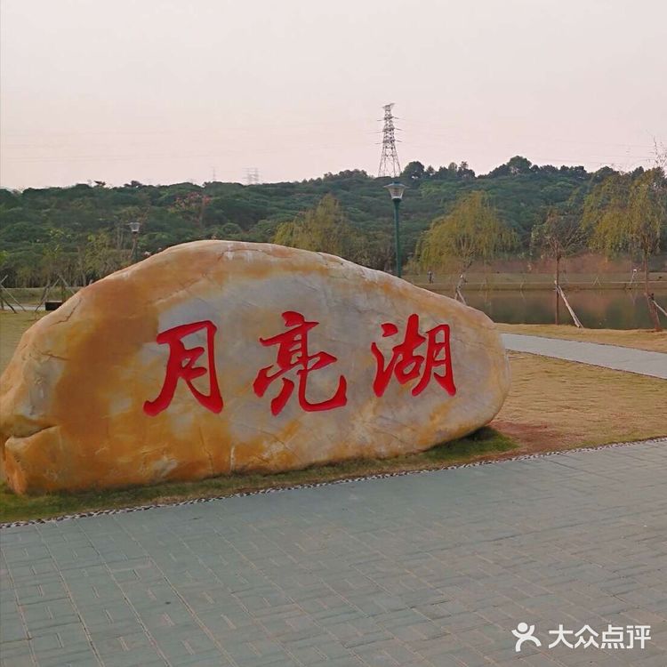 攻略 | 深圳罗田森林公园