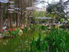 -人民公园(罗湖区)