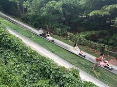 -富斯特索道