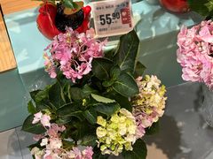-盒马鲜生(宝地店)