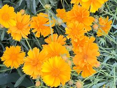 -汉长安城未央宫国家考古遗址公园