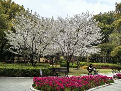 -徐家汇源景区-衡山公园