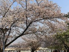 -蠡湖大桥公园