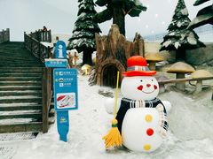 -哈尔滨热雪奇迹