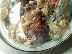 -海岸风情蒸汽海鲜自助餐厅(家宴金手勺店)