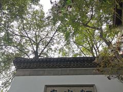 -韬光茶庵