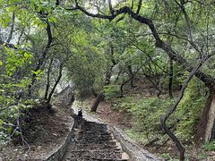 -北山公园