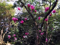 -乌山风景区