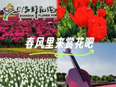 -上海鲜花港