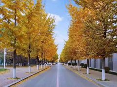 -大连理工大学(凌水校区)