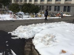 -东南大学(九龙湖校区)