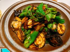 辣炒鲍鱼仔-大锅强·蒸海鲜青岛菜(金沙滩店)