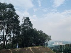 -黄埔油麻山森林公园