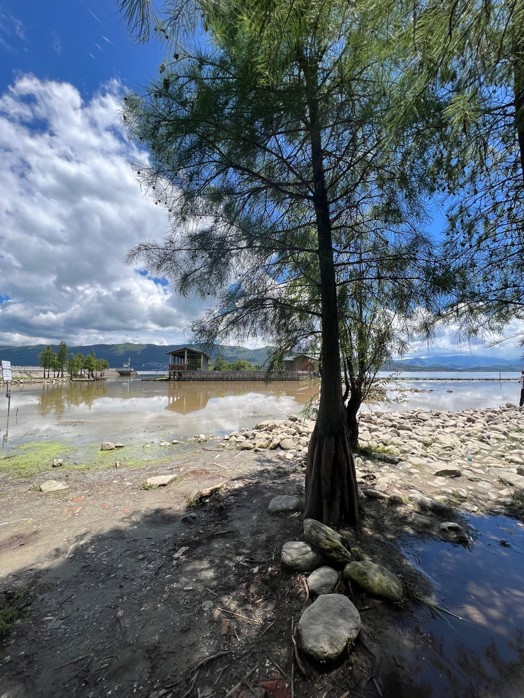 这是云南大理洱海的惊艳美景,水天一镜