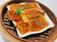 -点都德·毕德寮