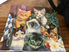 -李小姐の猫咖啡馆(五角场店)