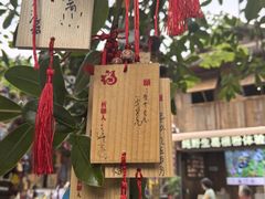 -西双版纳原始森林公园