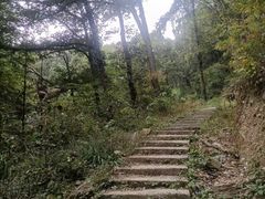 -素山寺森林公园