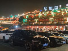 -枇杷园食为鲜火锅(南山店)