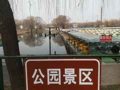 景点-朝阳公园