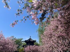-莫愁湖公园