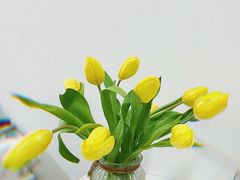 -盒马鲜生(莱蒙都会店)