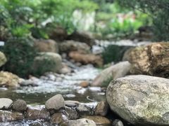 -苏州河梦清园环保主题公园