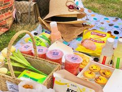 -太湖湖滨国家湿地公园-停车场