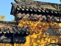-西园戒幢律寺
