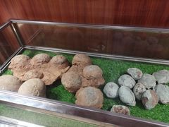 -珠海市博物馆