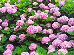 -共青国家森林公园-售票处