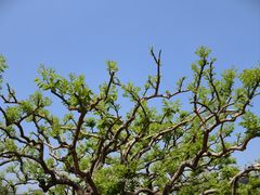 -洛阳市隋唐城遗址植物园