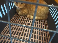 -博特宠物医院24h犬猫全科.骨科·异宠