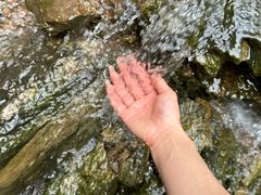 -素山寺森林公园