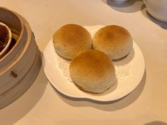 雪顶雄峰-利苑酒家(金宝店)