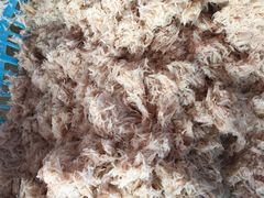 -浪琴湾尾角仔海鲜坊