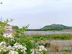 -平湖九龙山旅游度假区