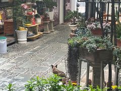 -尼玛藏家风味园(阿山食城店)
