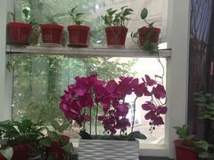 -金豆角砂锅焖面(安贞店)