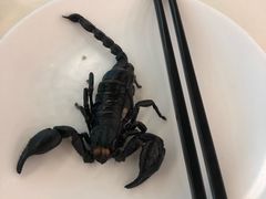 -御水泉·国际水疗会(广州长隆店)