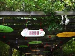 -白马涧龙池景区