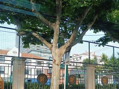 -上海戏剧学院附属高级中学