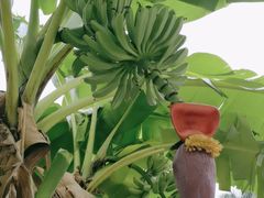 -云溪植物园